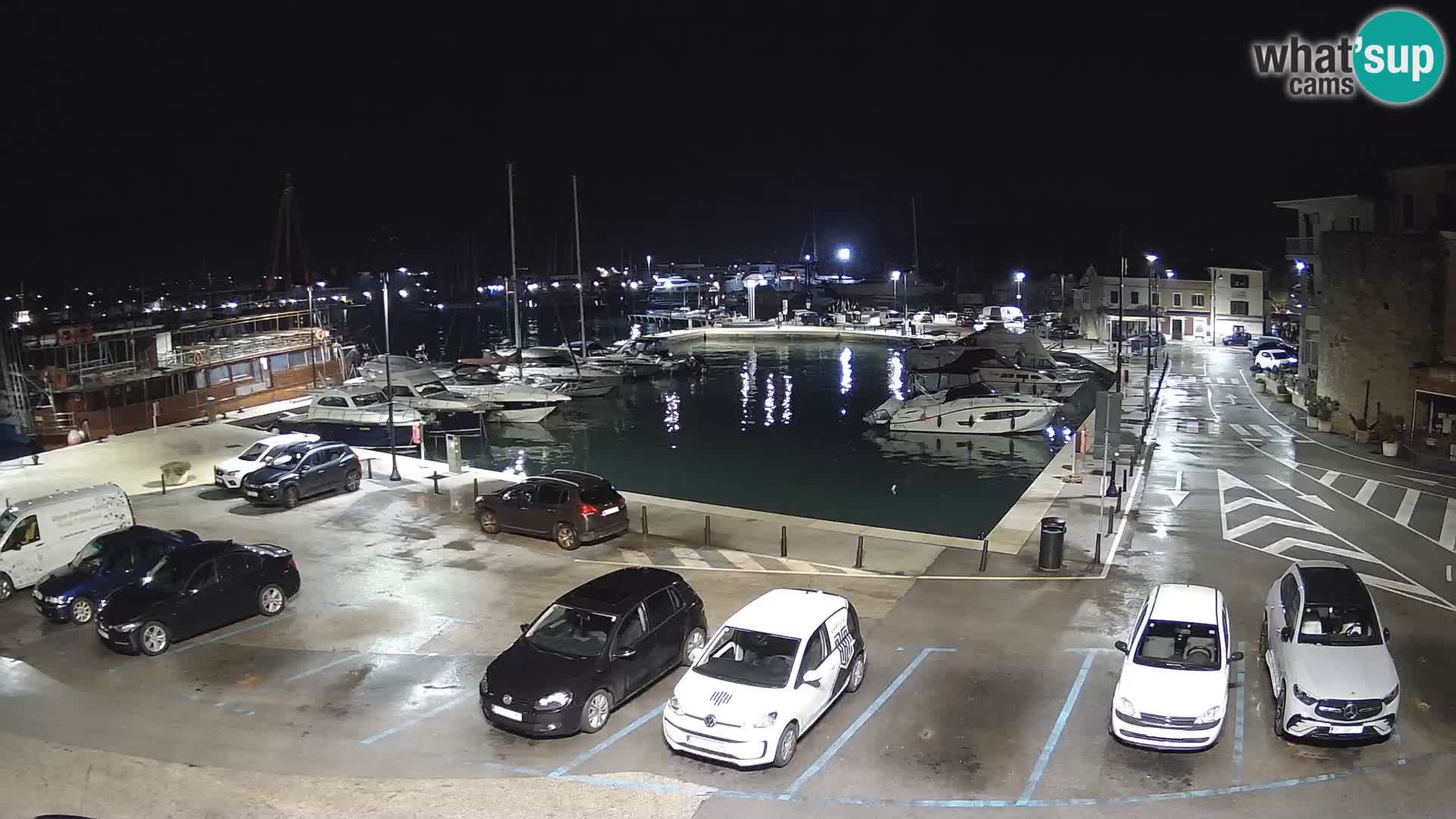 Novigrad | Porporela marina