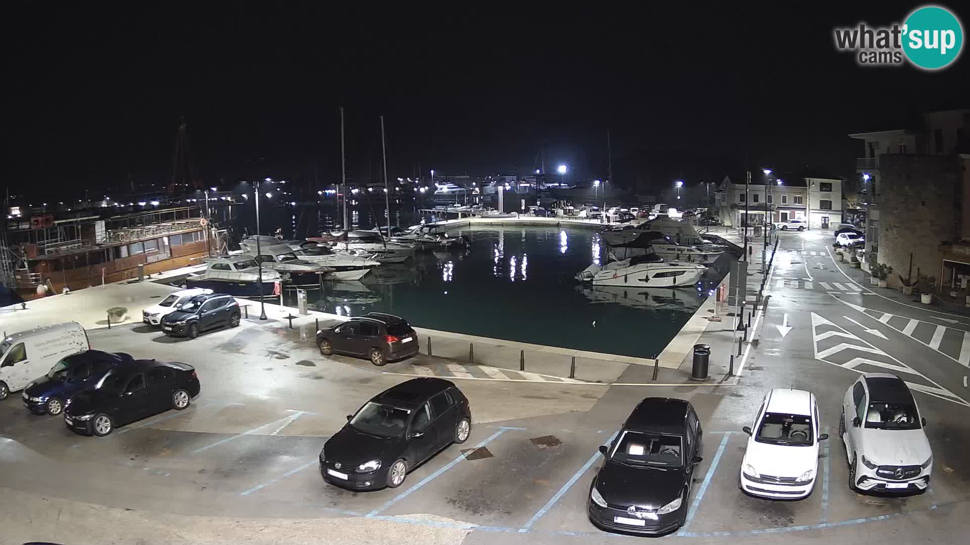Novigrad | Porporela marina