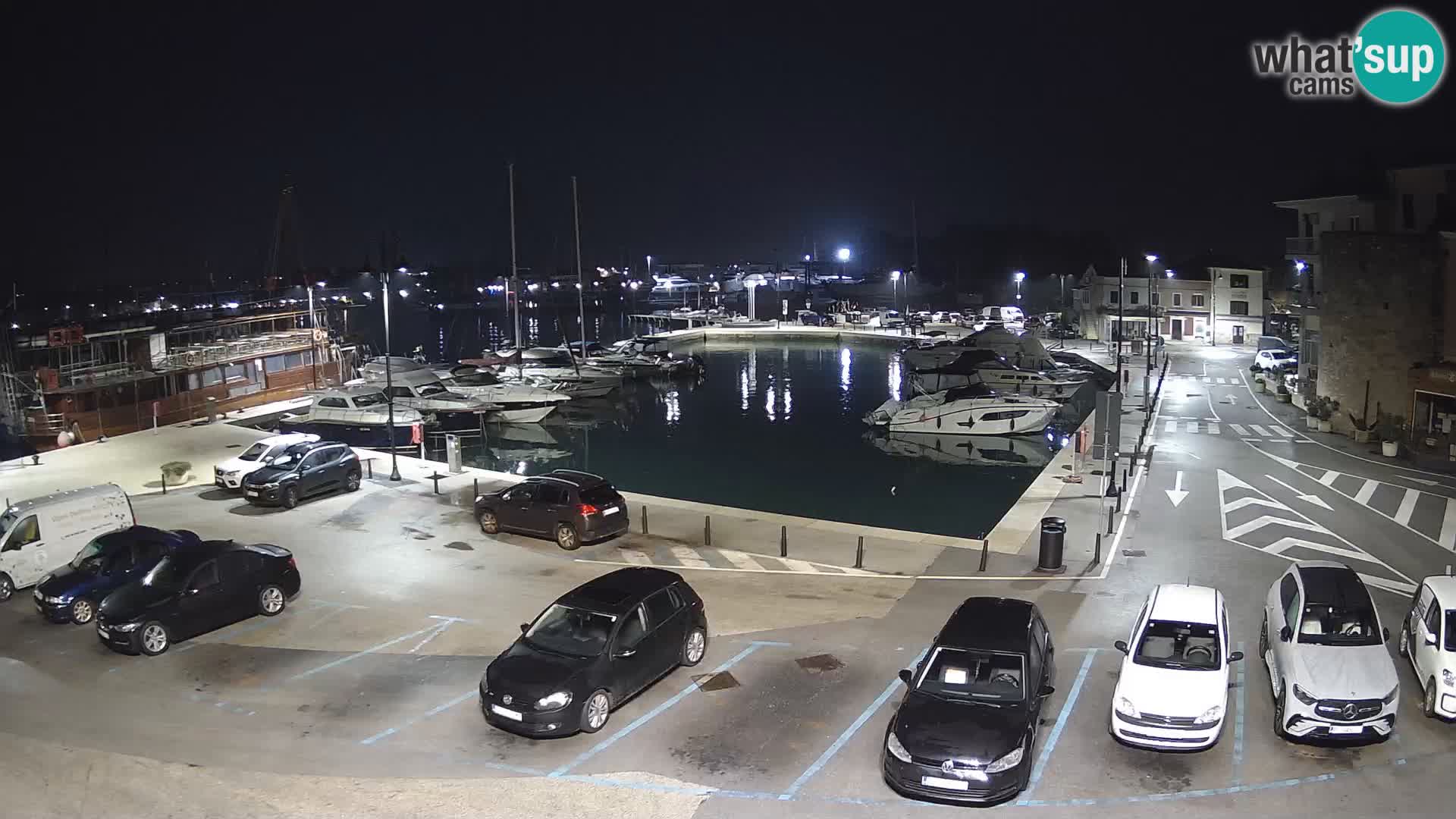 Novigrad | Porporela marina