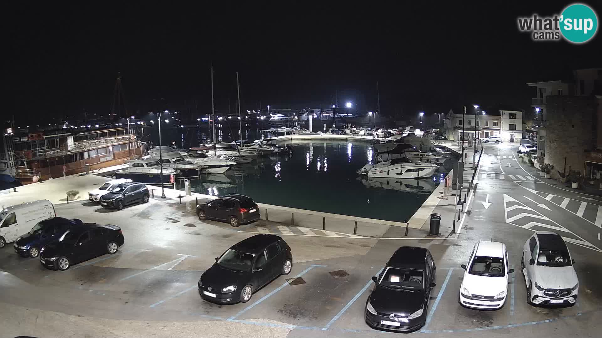 Novigrad | Porporela marina