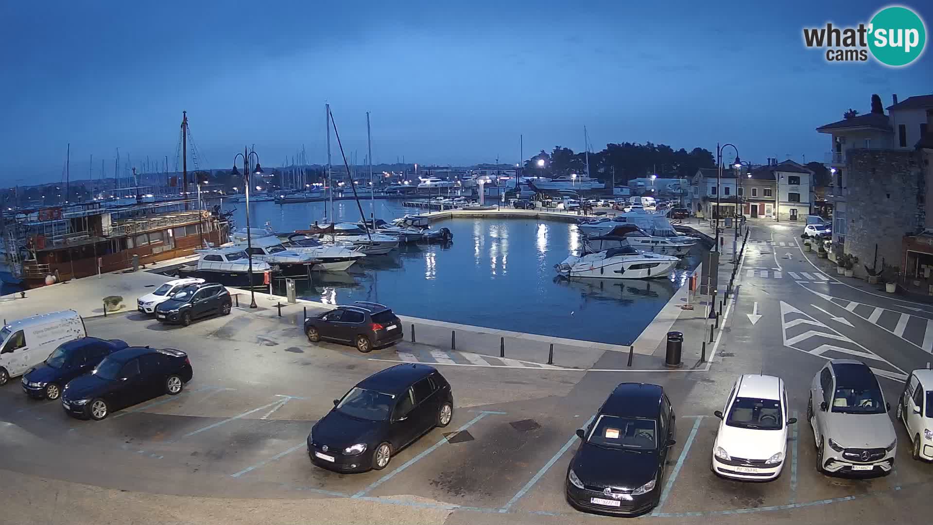 Novigrad | Porporela marina