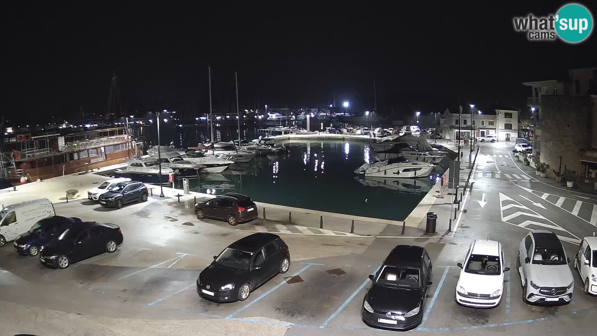 Novigrad | Porporela marina