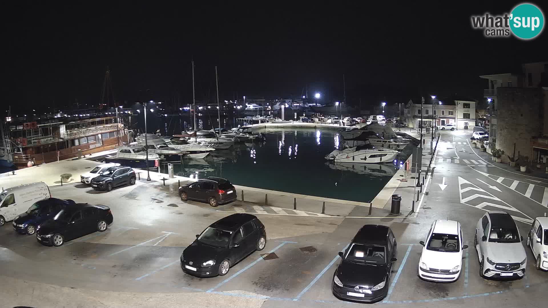 Novigrad | Porporela marina