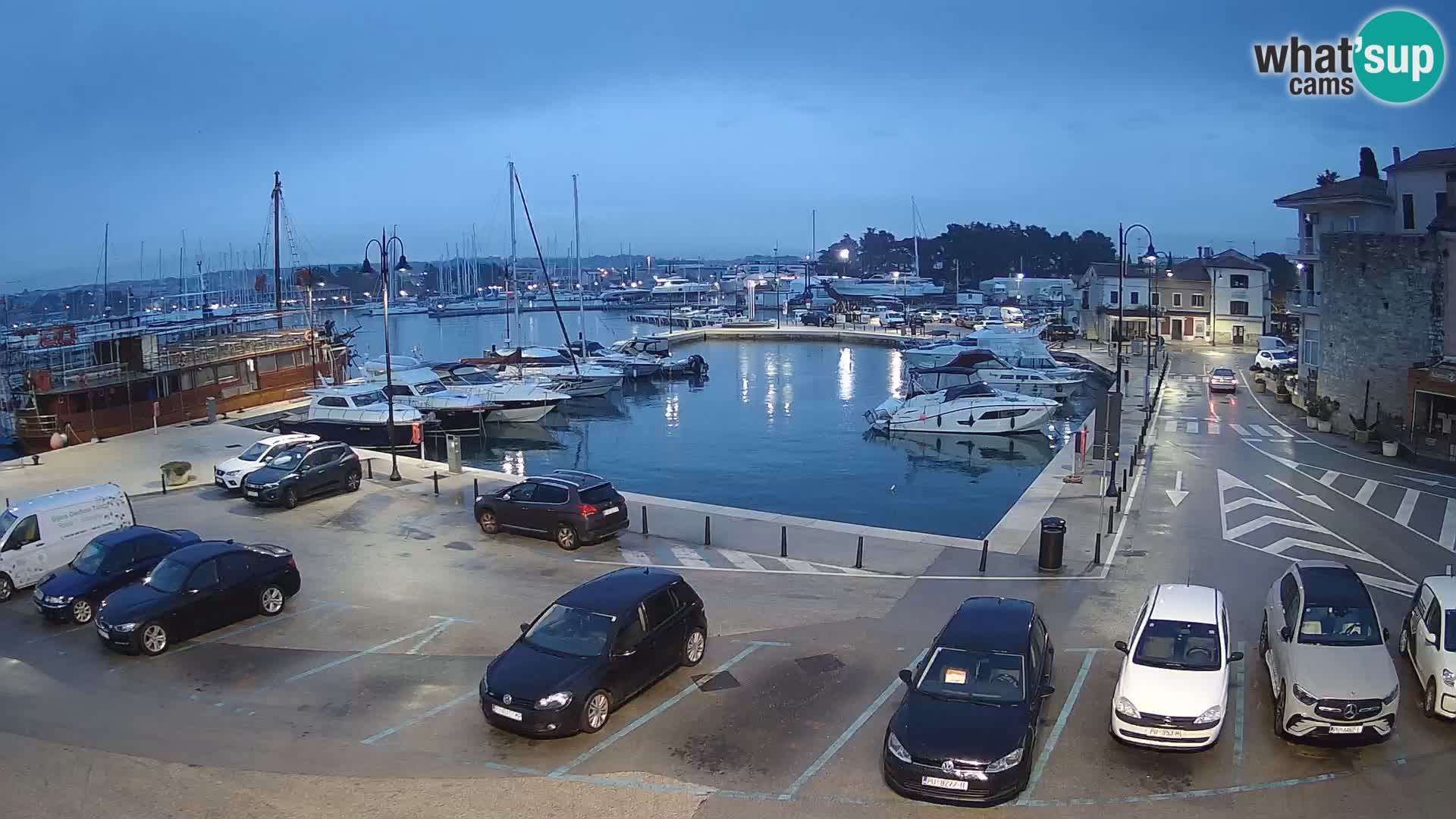 Novigrad | Porporela marina