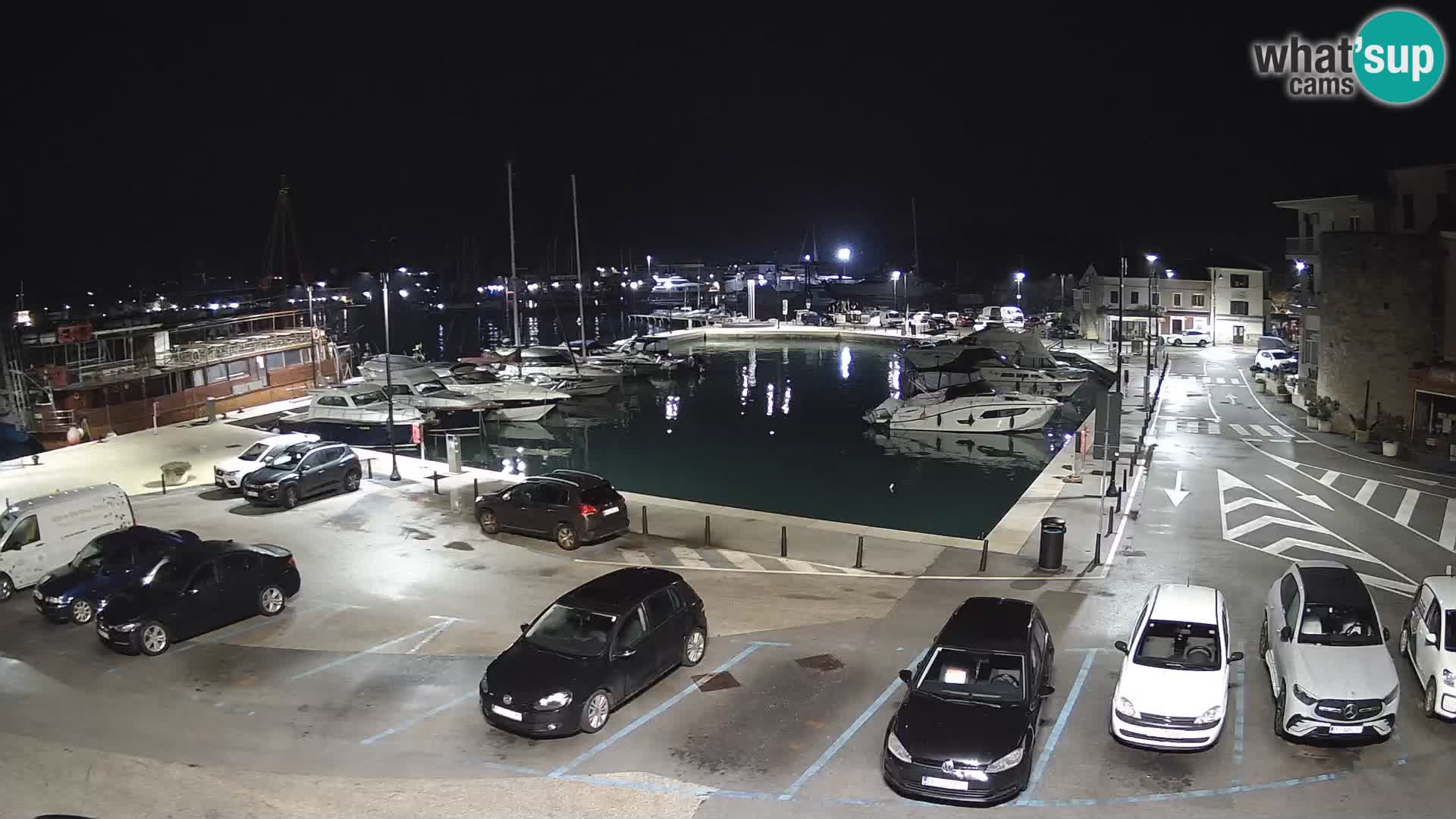 Novigrad | Porporela marina