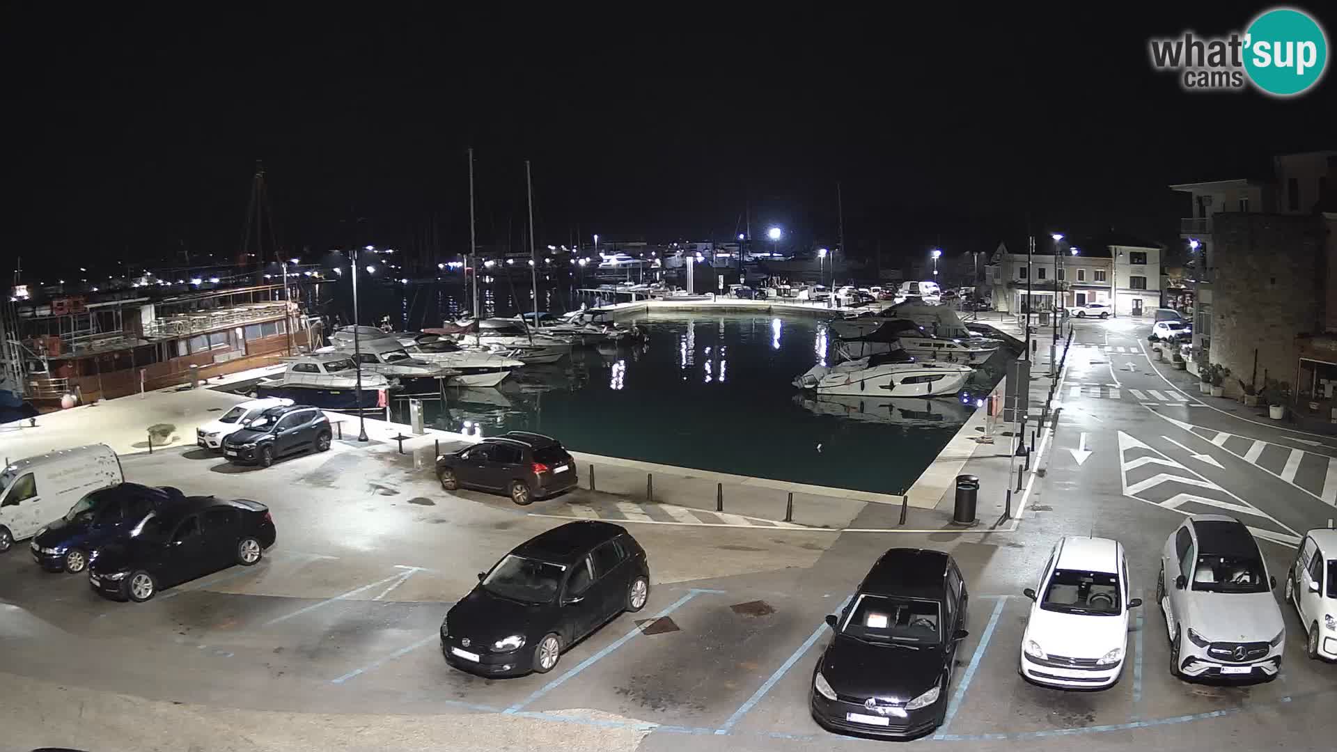 Novigrad | Porporela marina