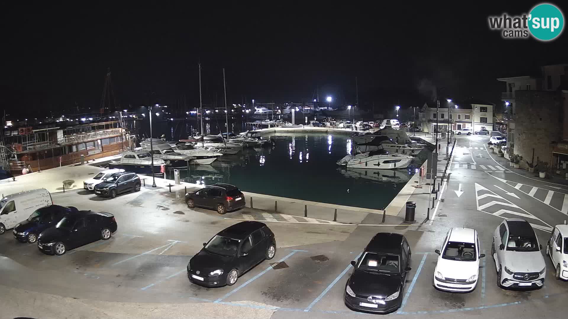 Novigrad | Porporela marina