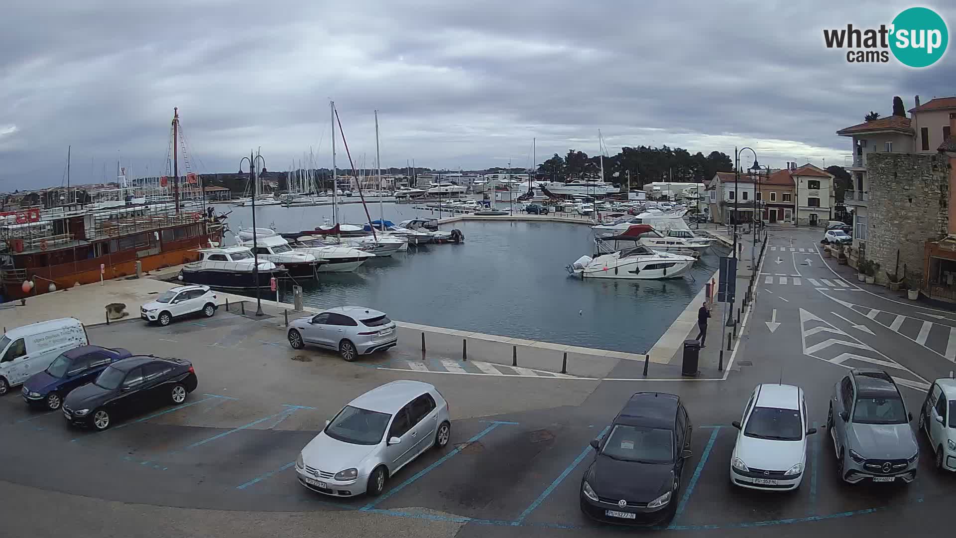 Novigrad | Porporela marina