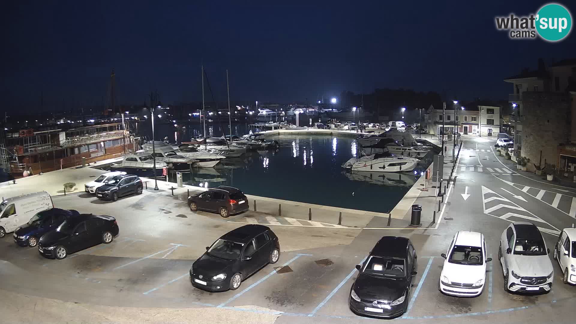Novigrad | Porporela marina