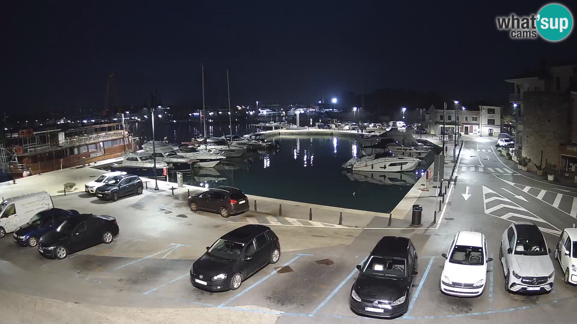 Novigrad | Porporela marina