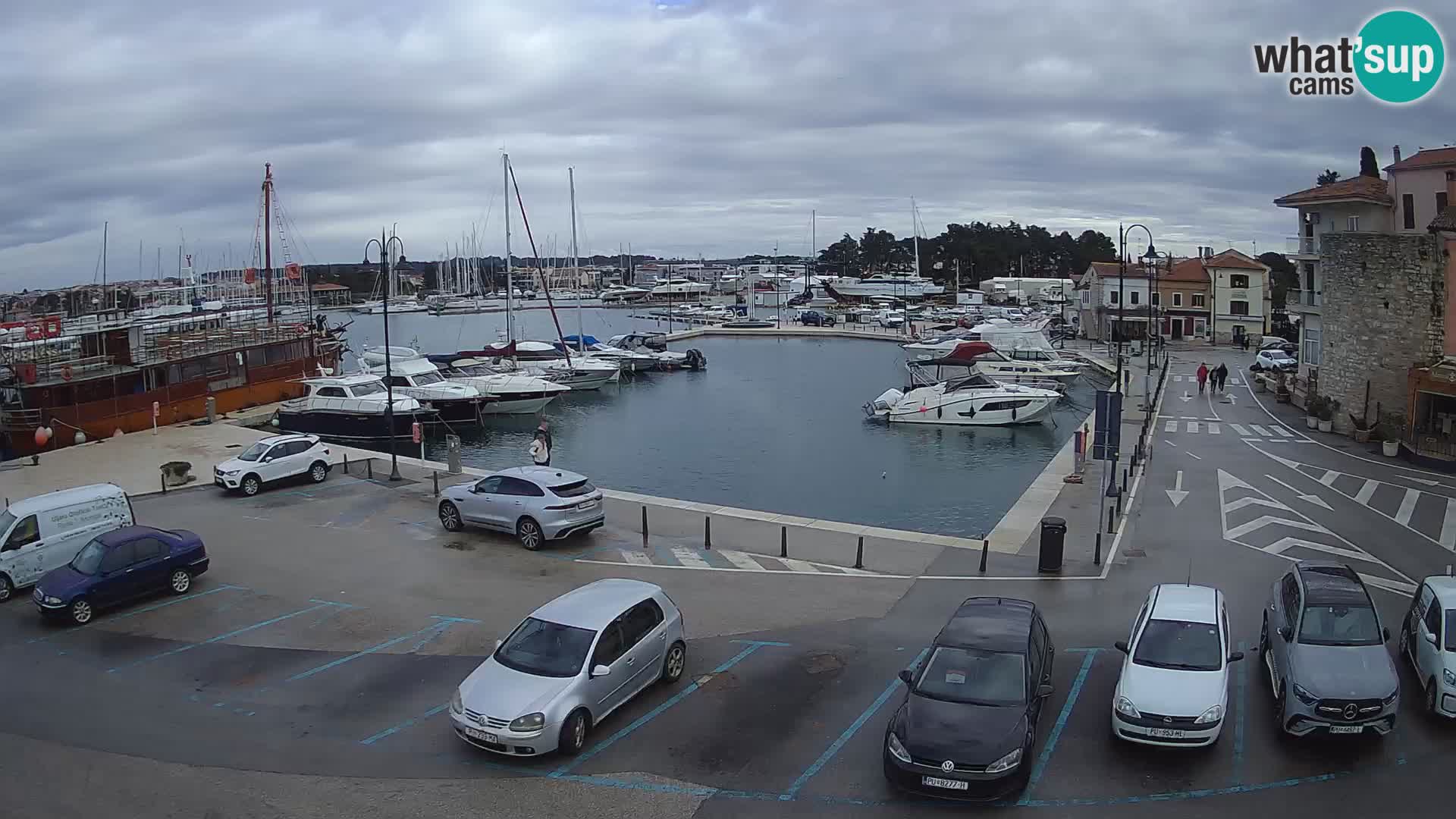 Novigrad | Porporela marina