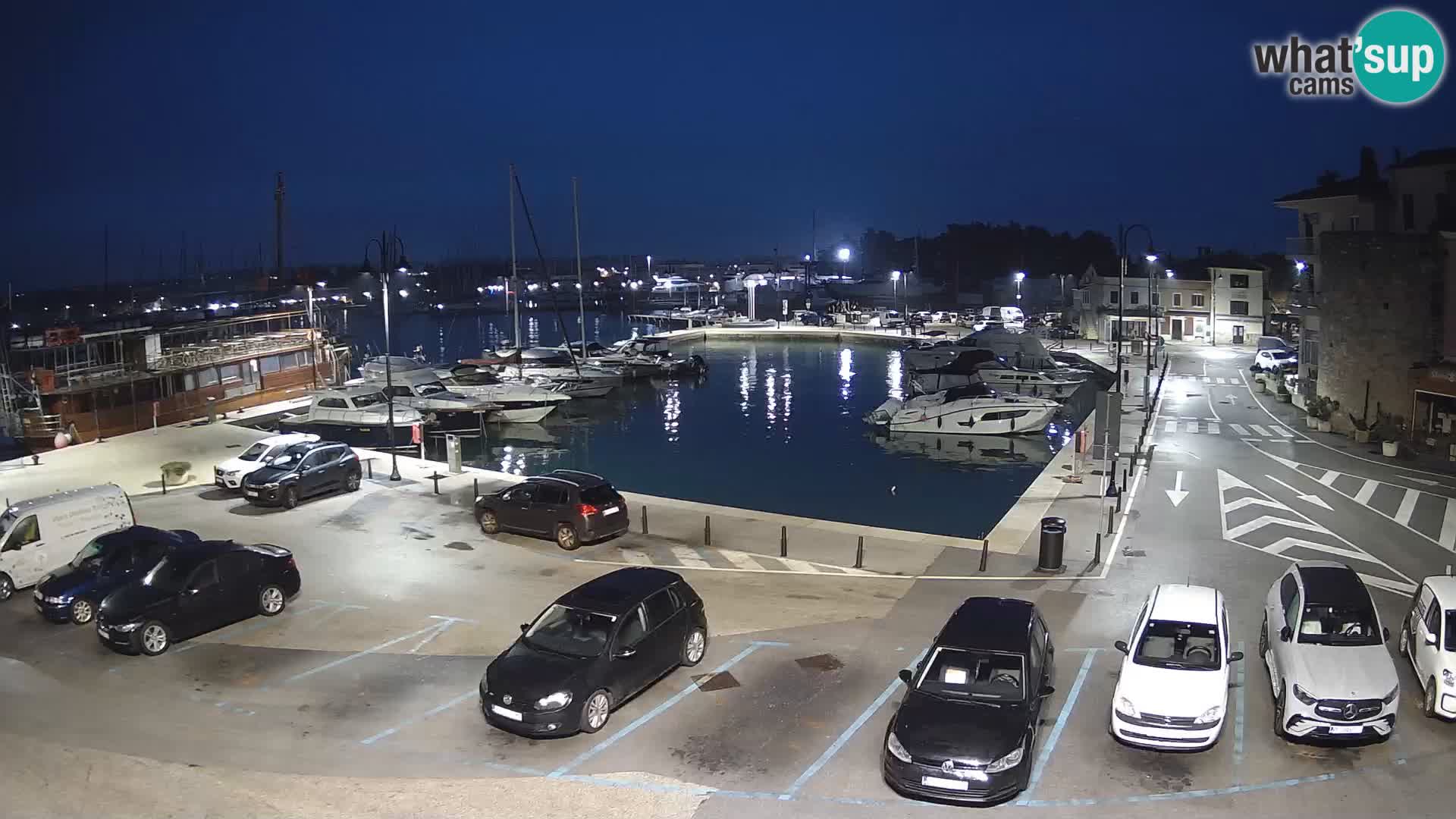 Novigrad | Porporela marina