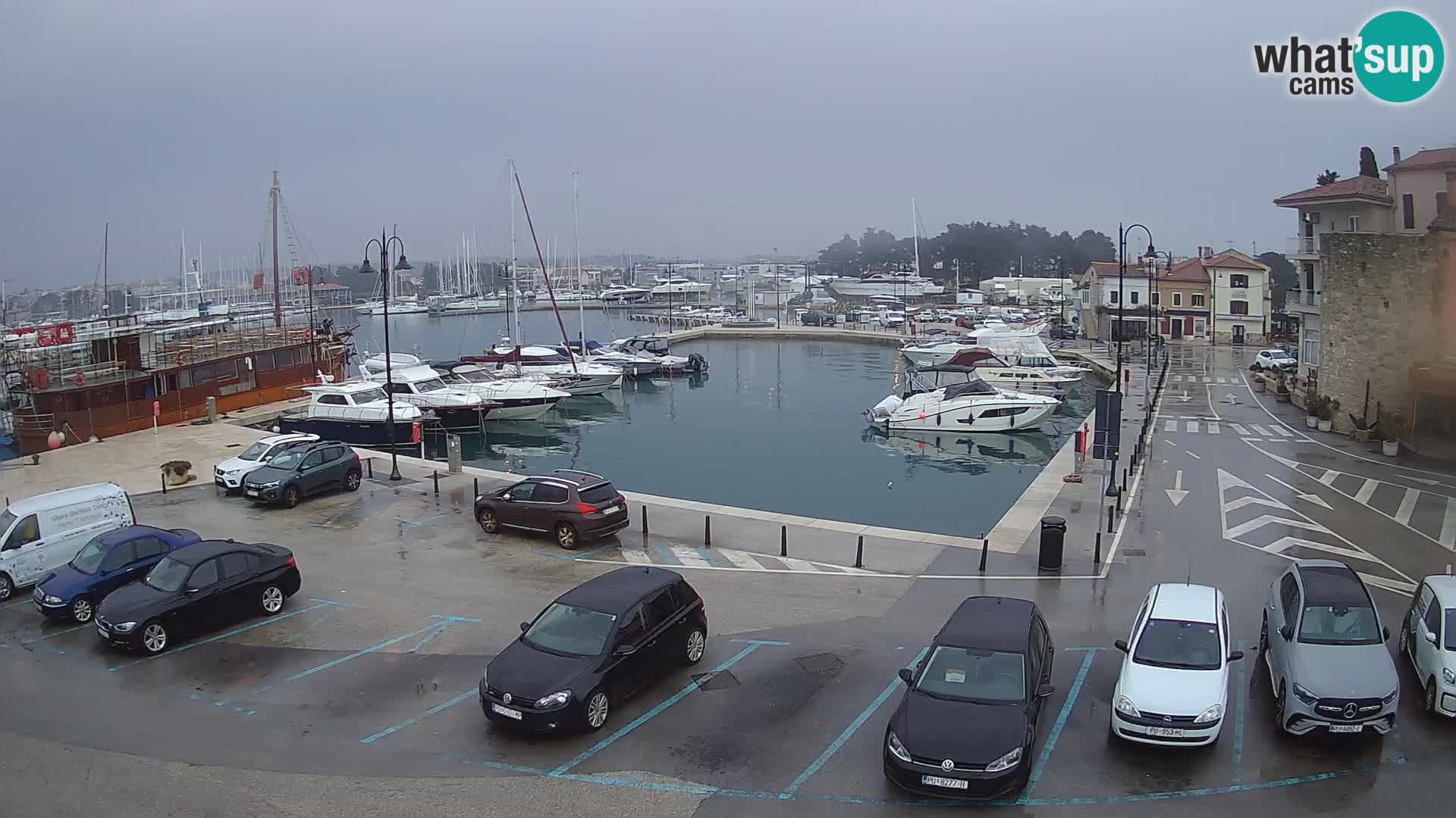 Novigrad | Porporela marina