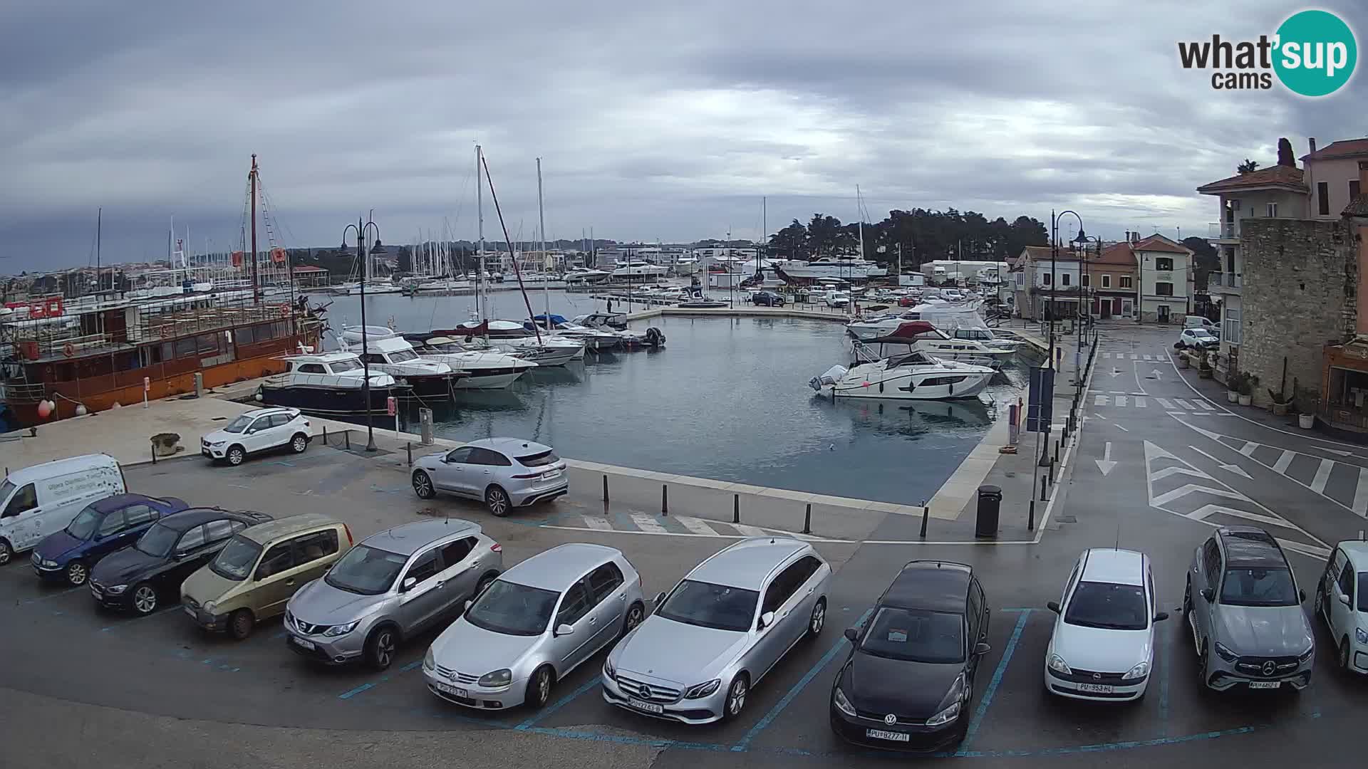 Novigrad | Porporela marina