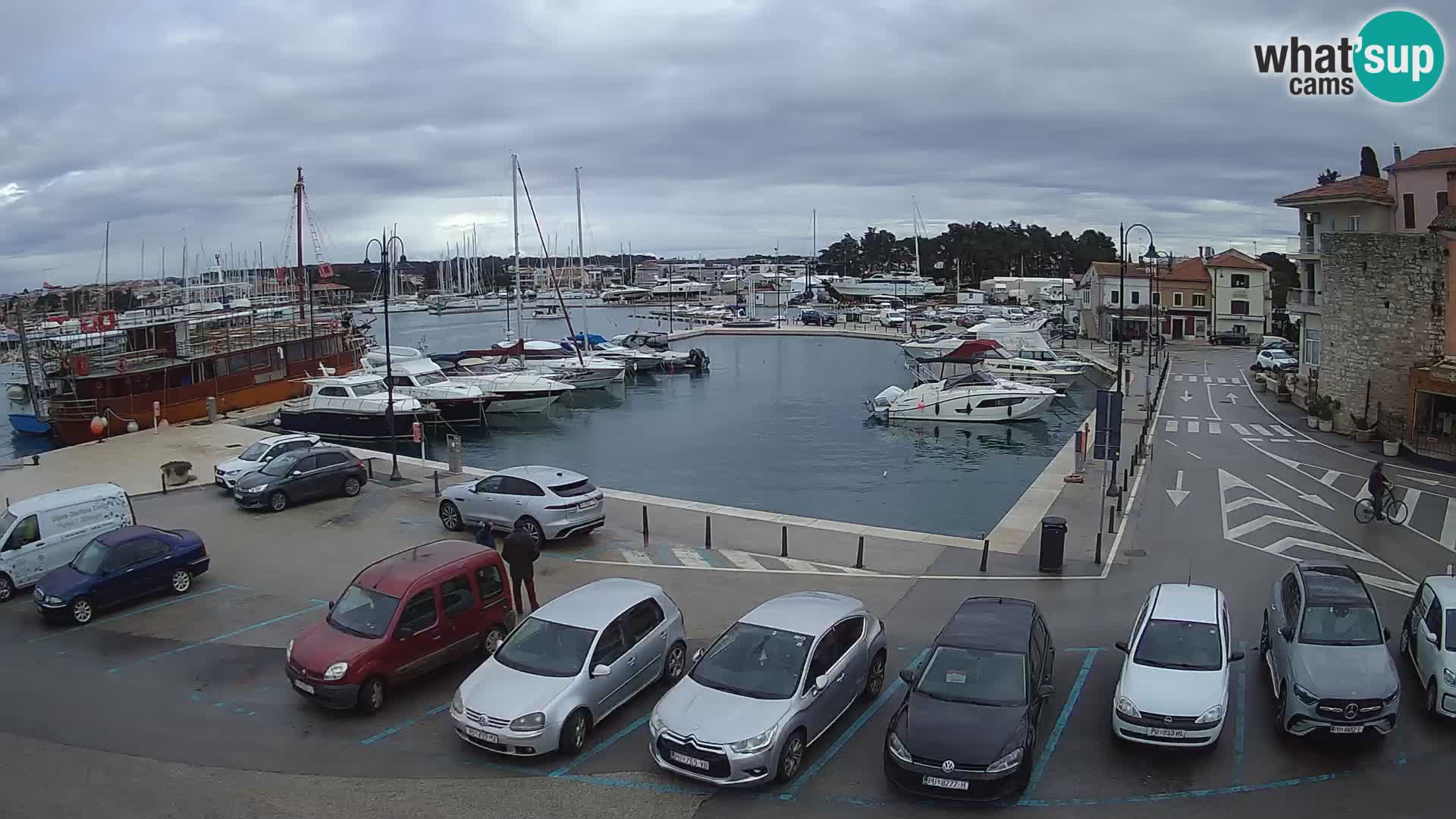 Novigrad | Porporela marina