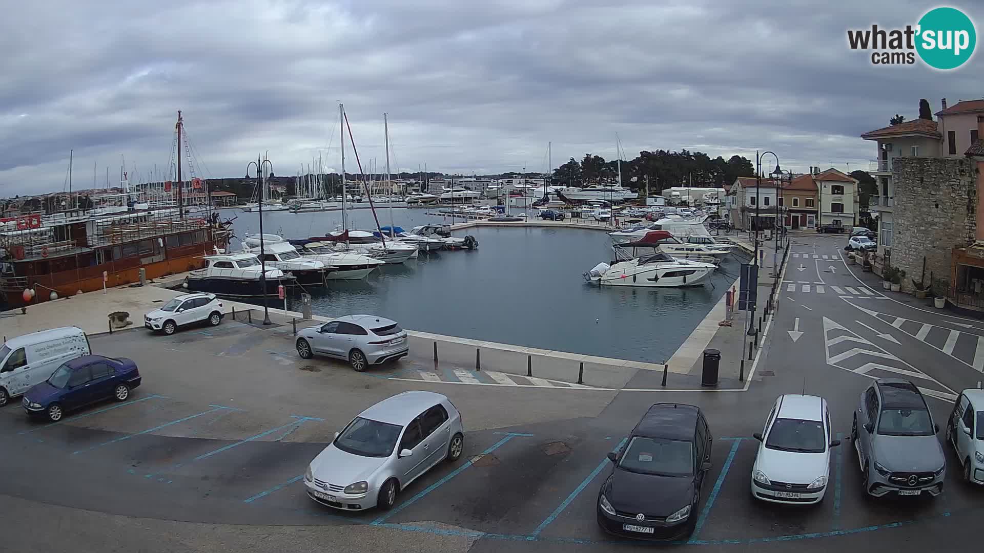 Novigrad | Porporela marina