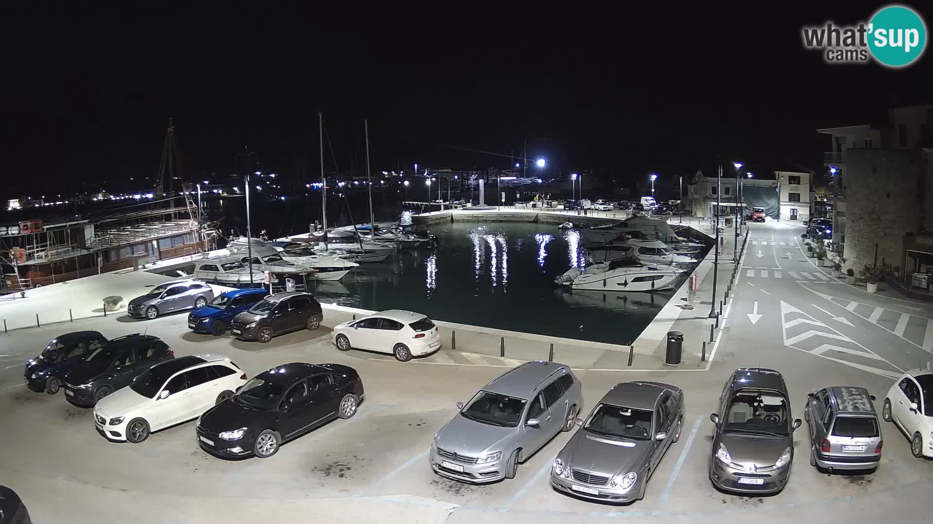 Novigrad | Porporela marina