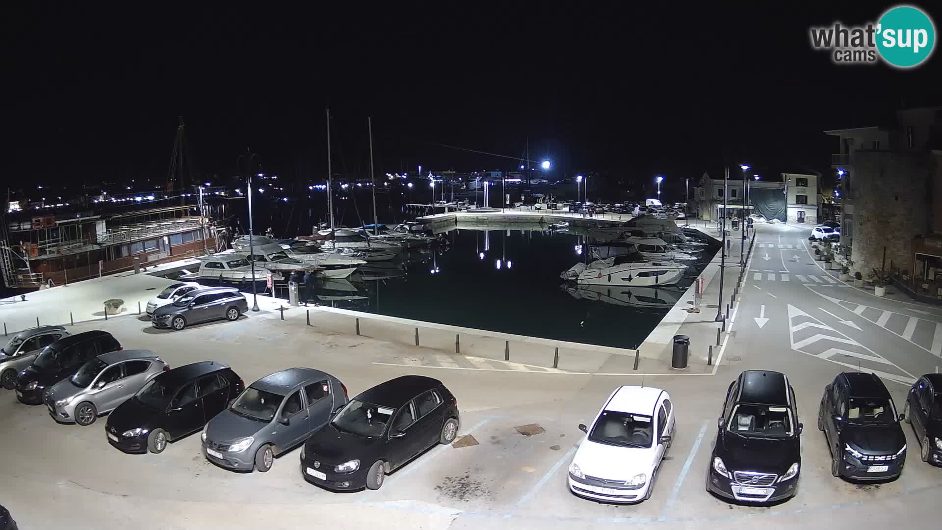 Novigrad | Porporela marina