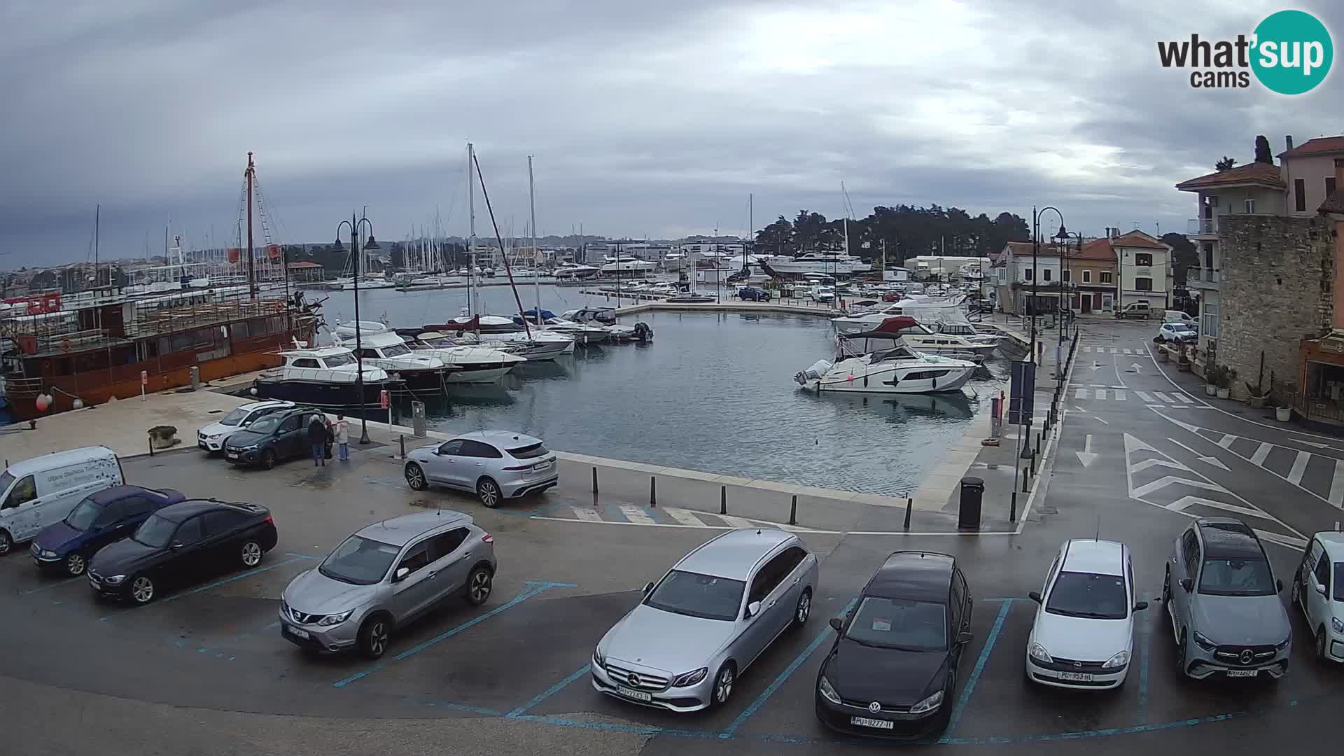 Novigrad | Porporela marina