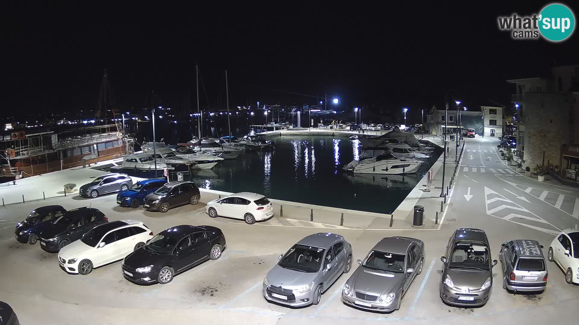 Novigrad | Porporela marina