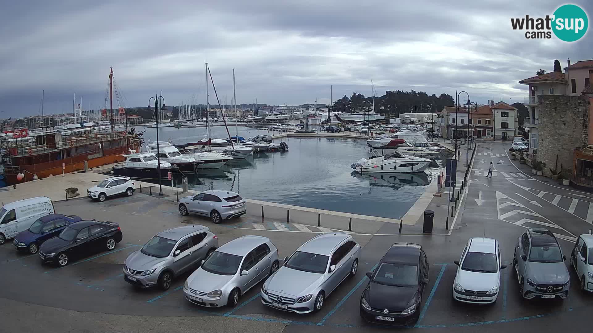 Novigrad | Porporela marina