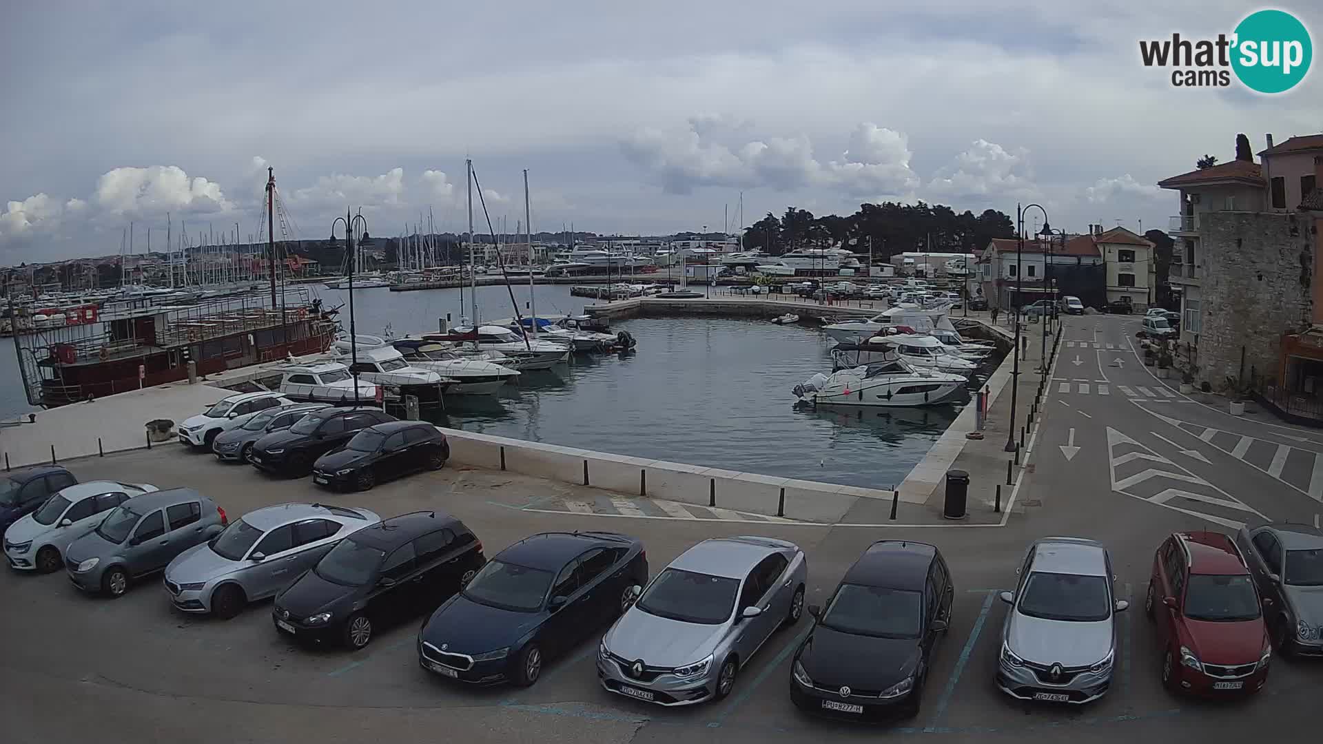 Novigrad | Porporela marina