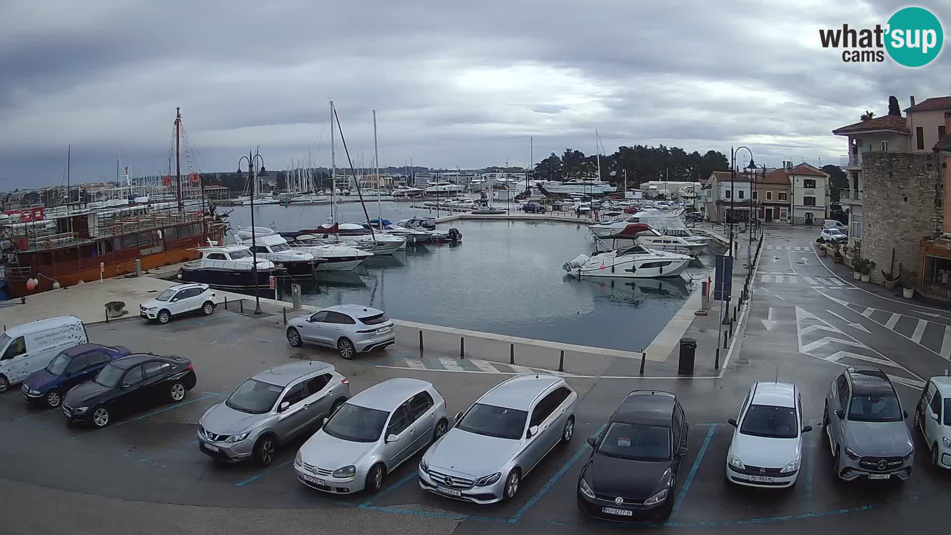 Novigrad | Porporela marina