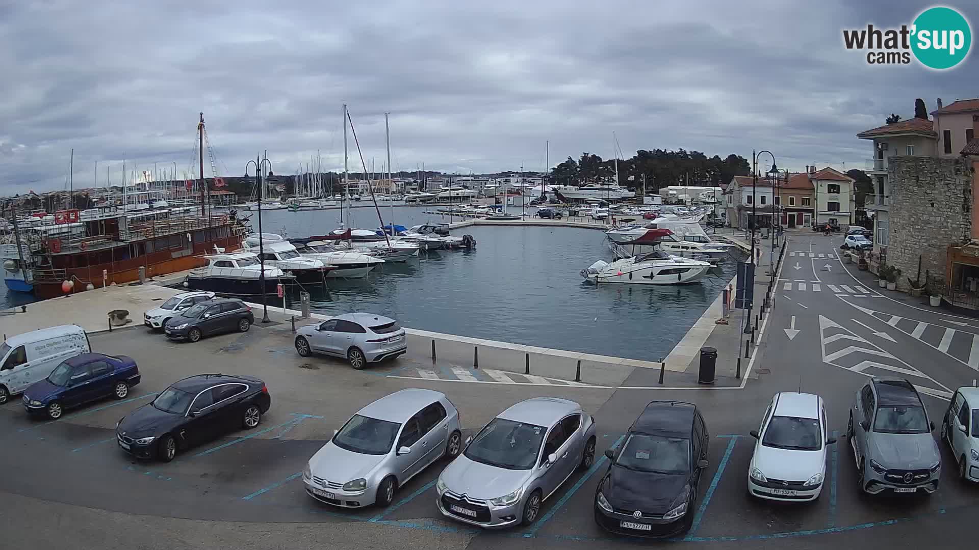 Novigrad | Porporela marina