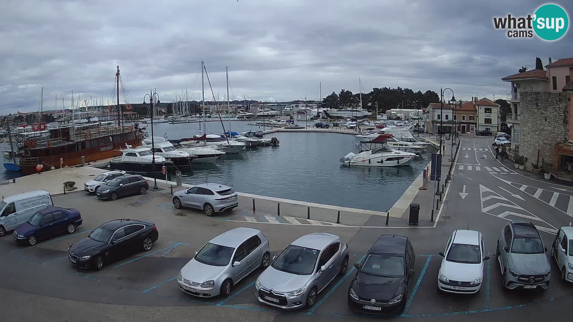 Novigrad | Porporela marina