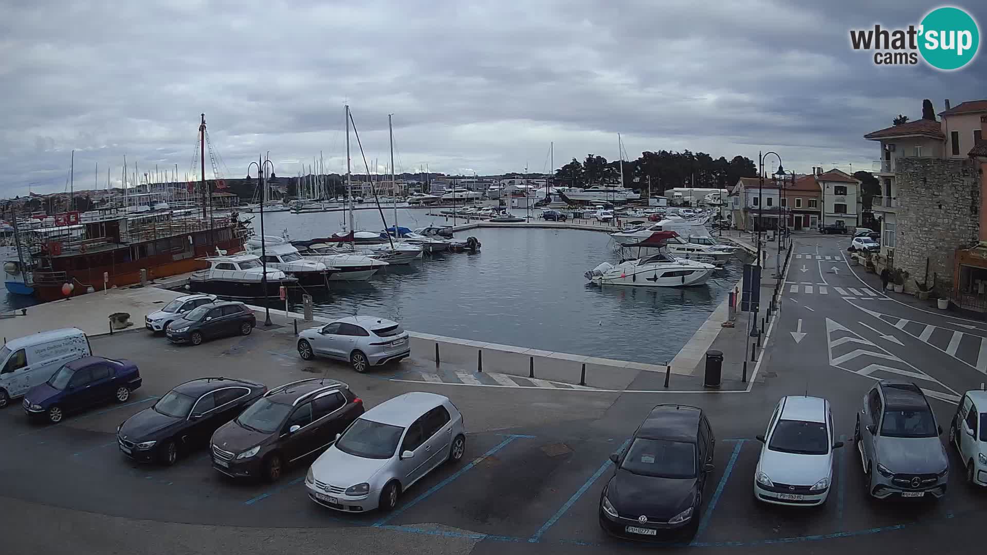 Novigrad | Porporela marina