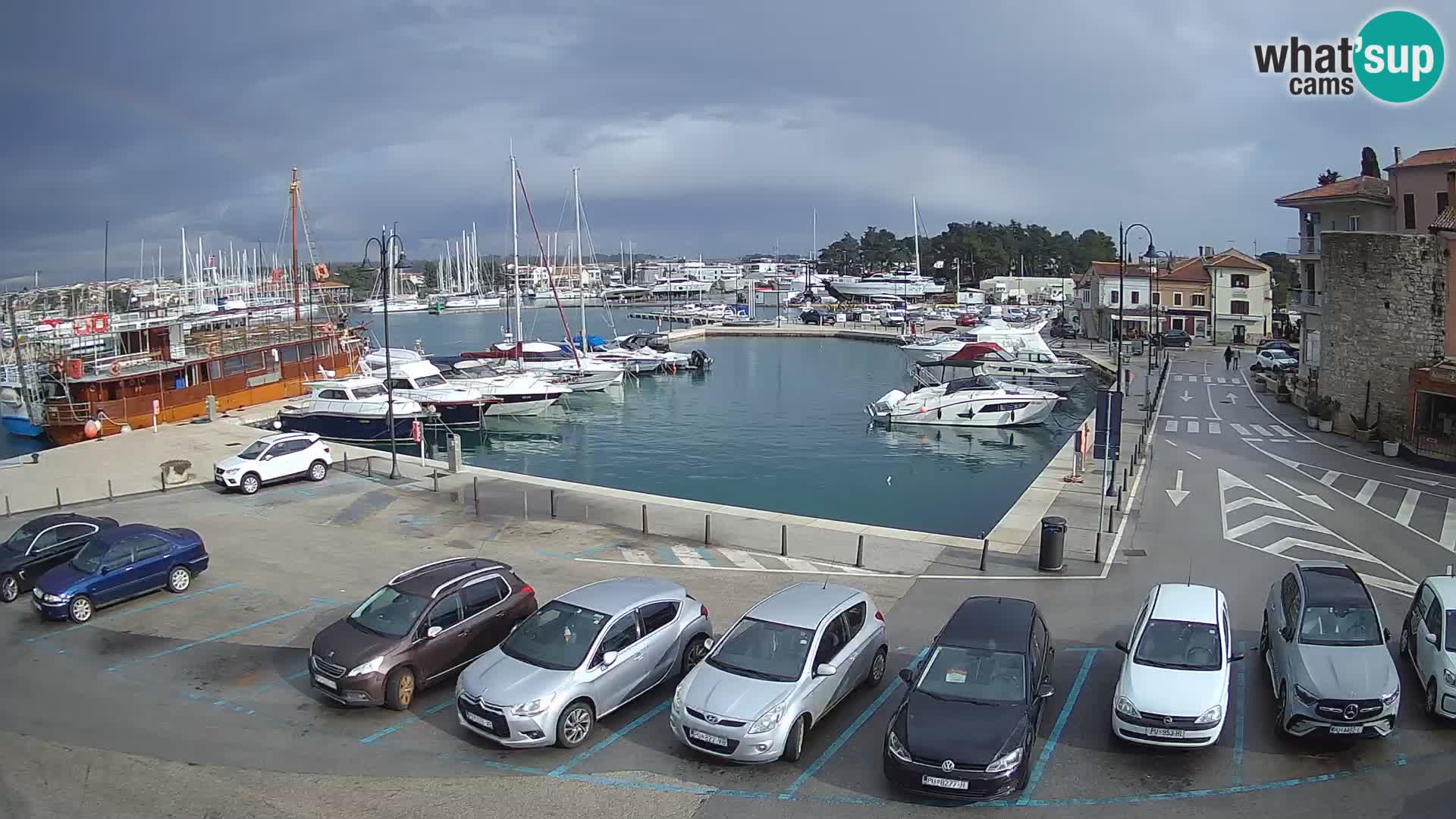 Novigrad | Porporela marina