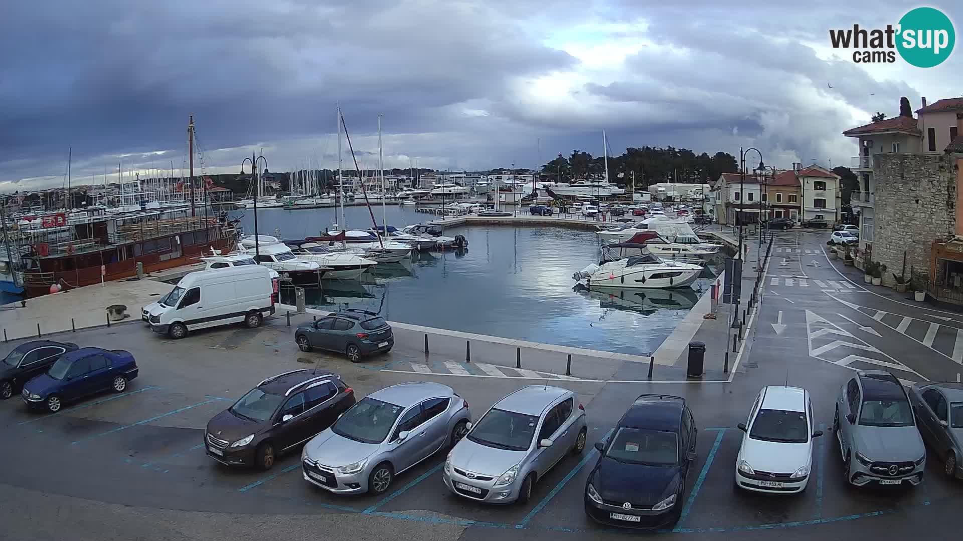 Novigrad | Porporela marina