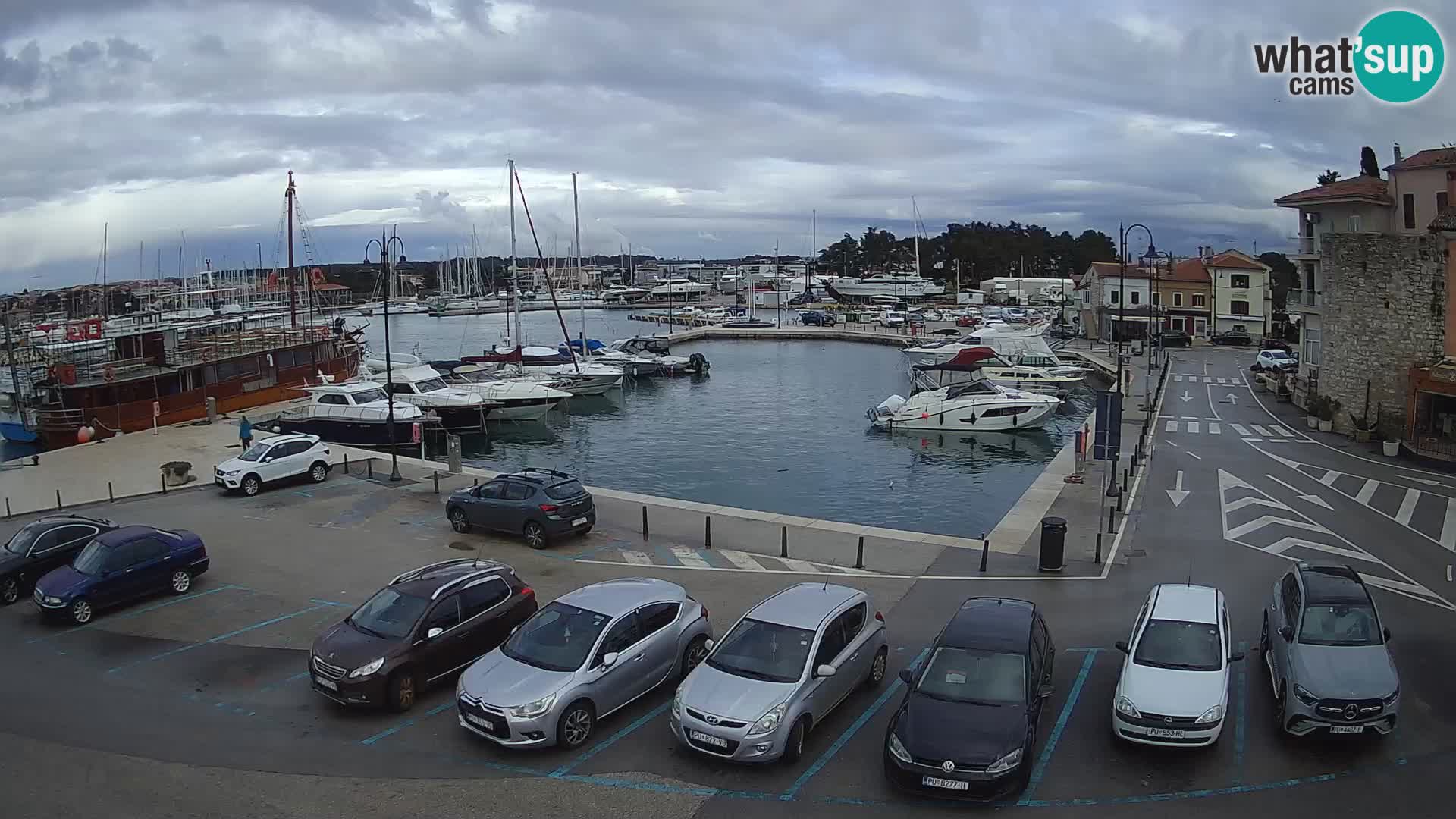 Novigrad | Porporela marina