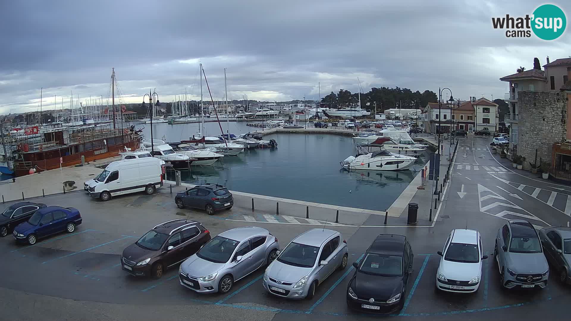 Novigrad | Porporela marina