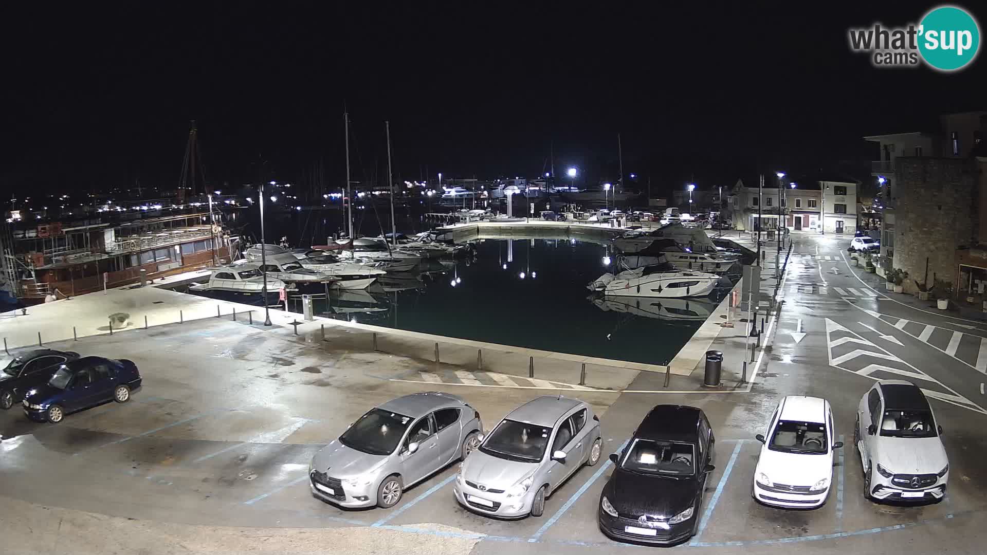 Novigrad | Porporela marina