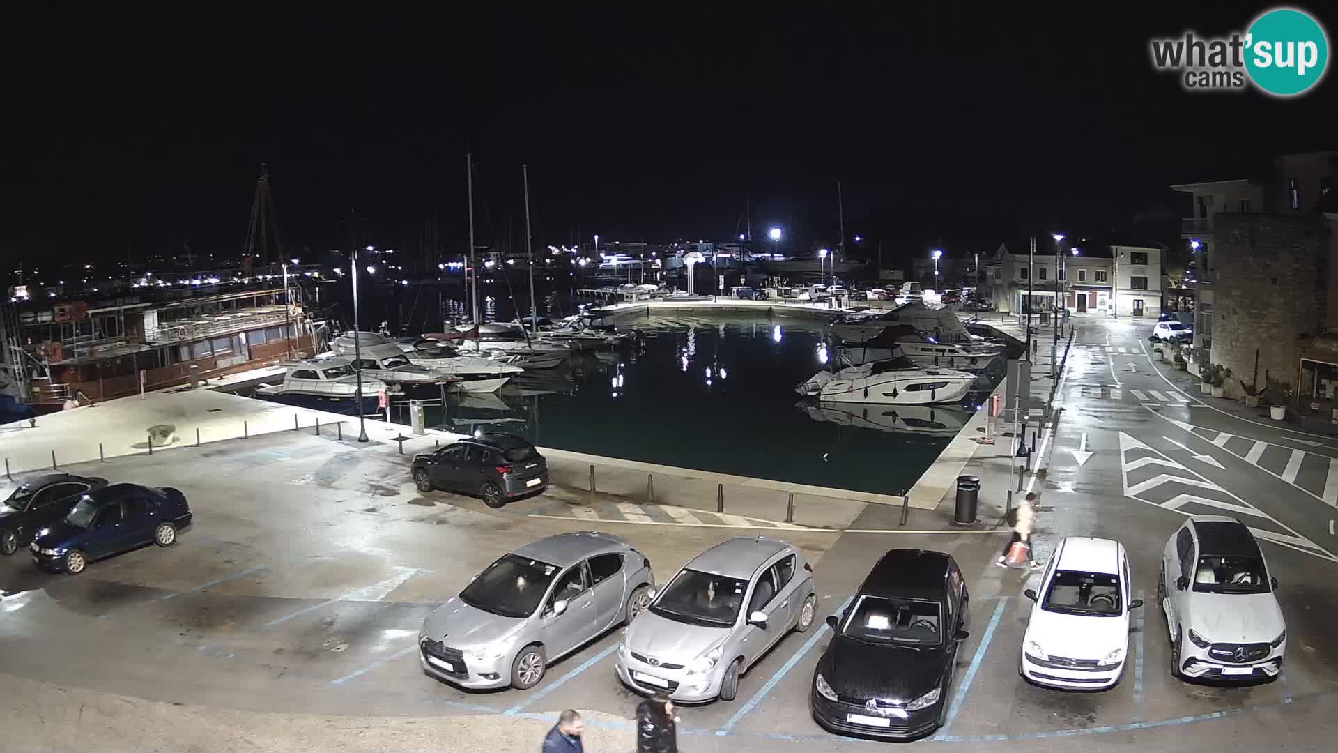 Novigrad | Porporela marina