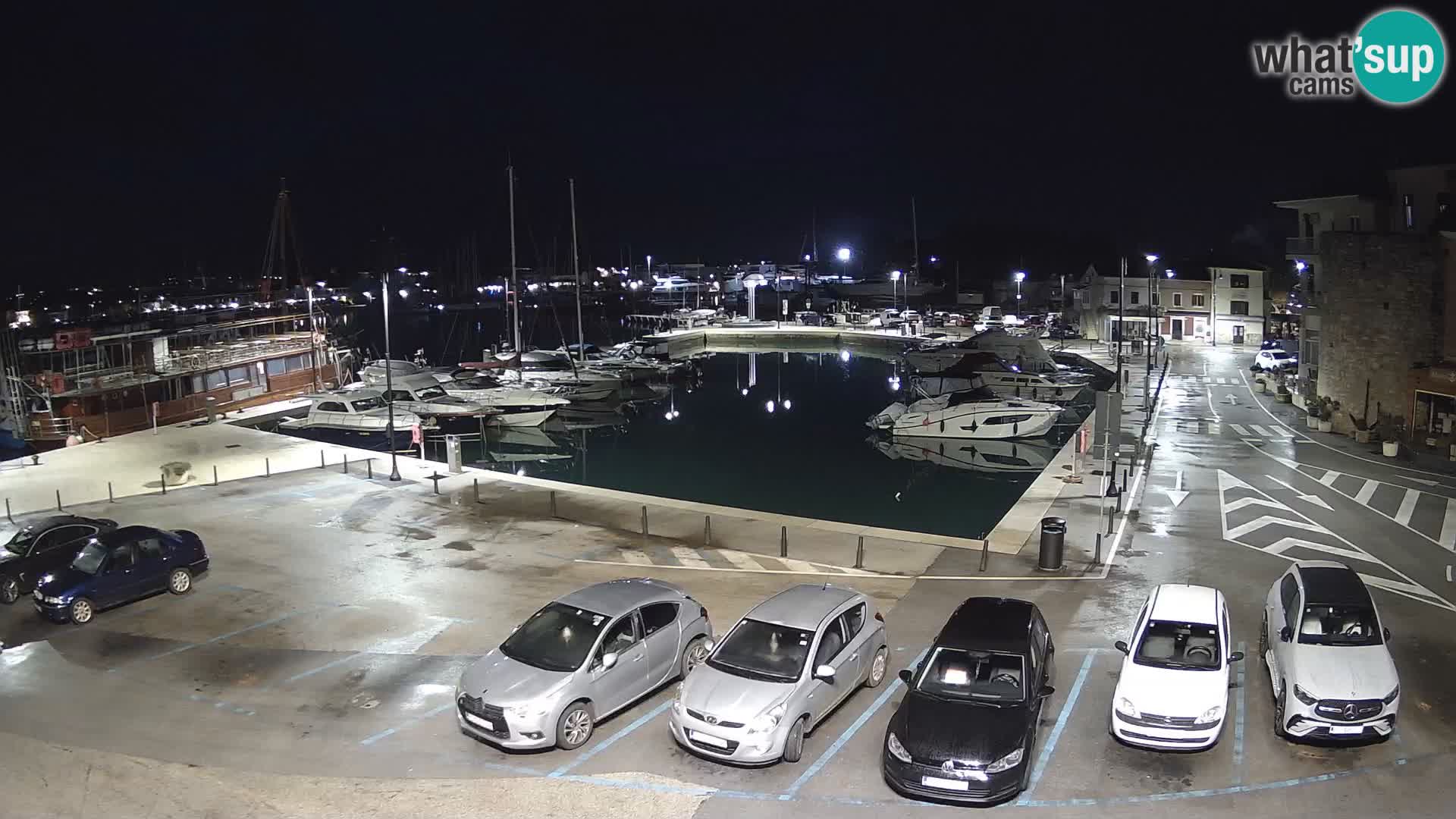 Novigrad | Porporela marina