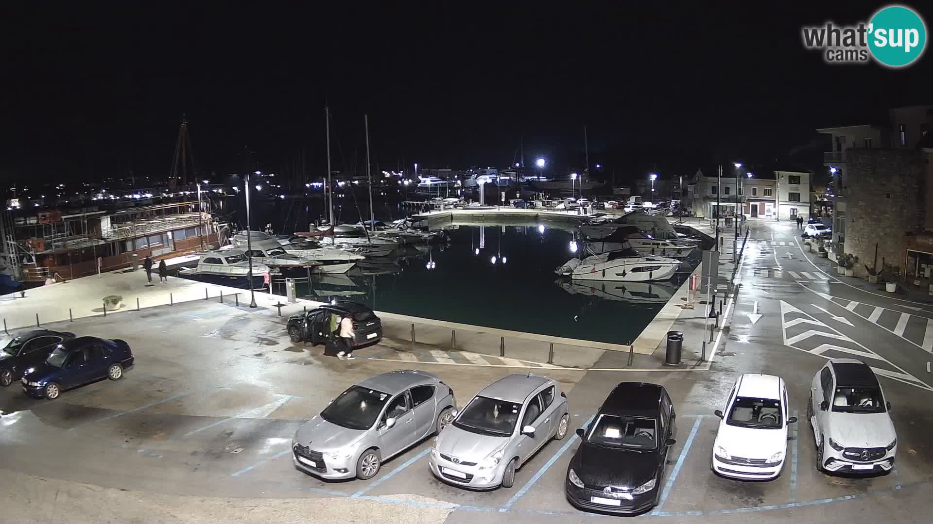 Novigrad | Porporela marina