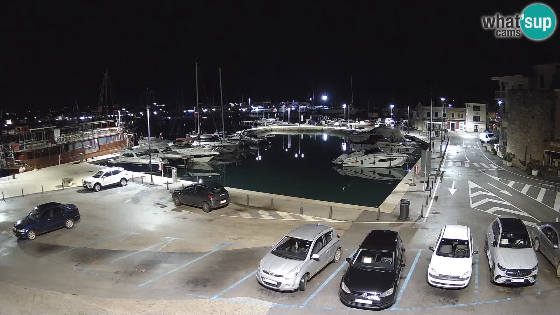 Novigrad | Porporela marina