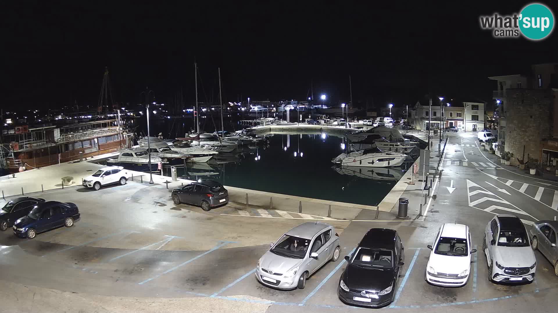 Novigrad | Porporela marina