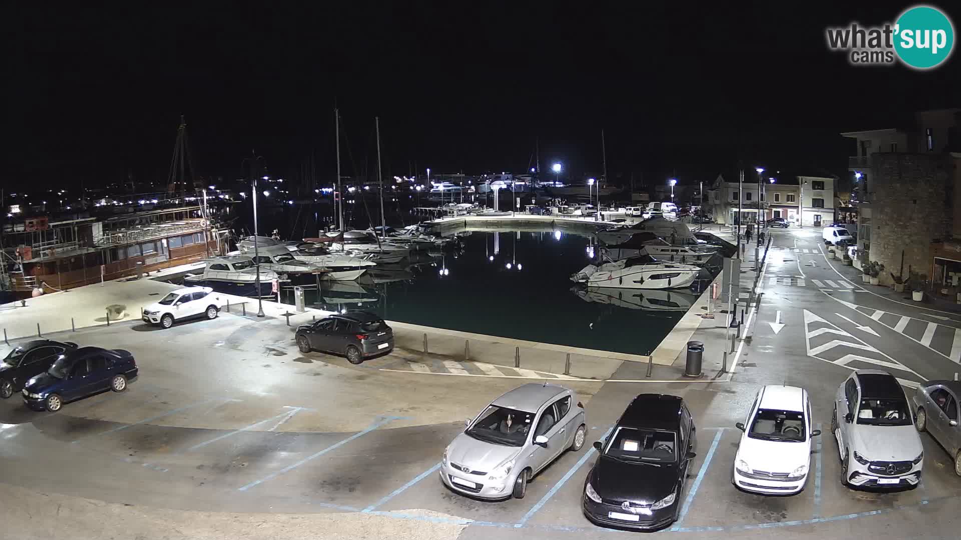 Novigrad | Porporela marina