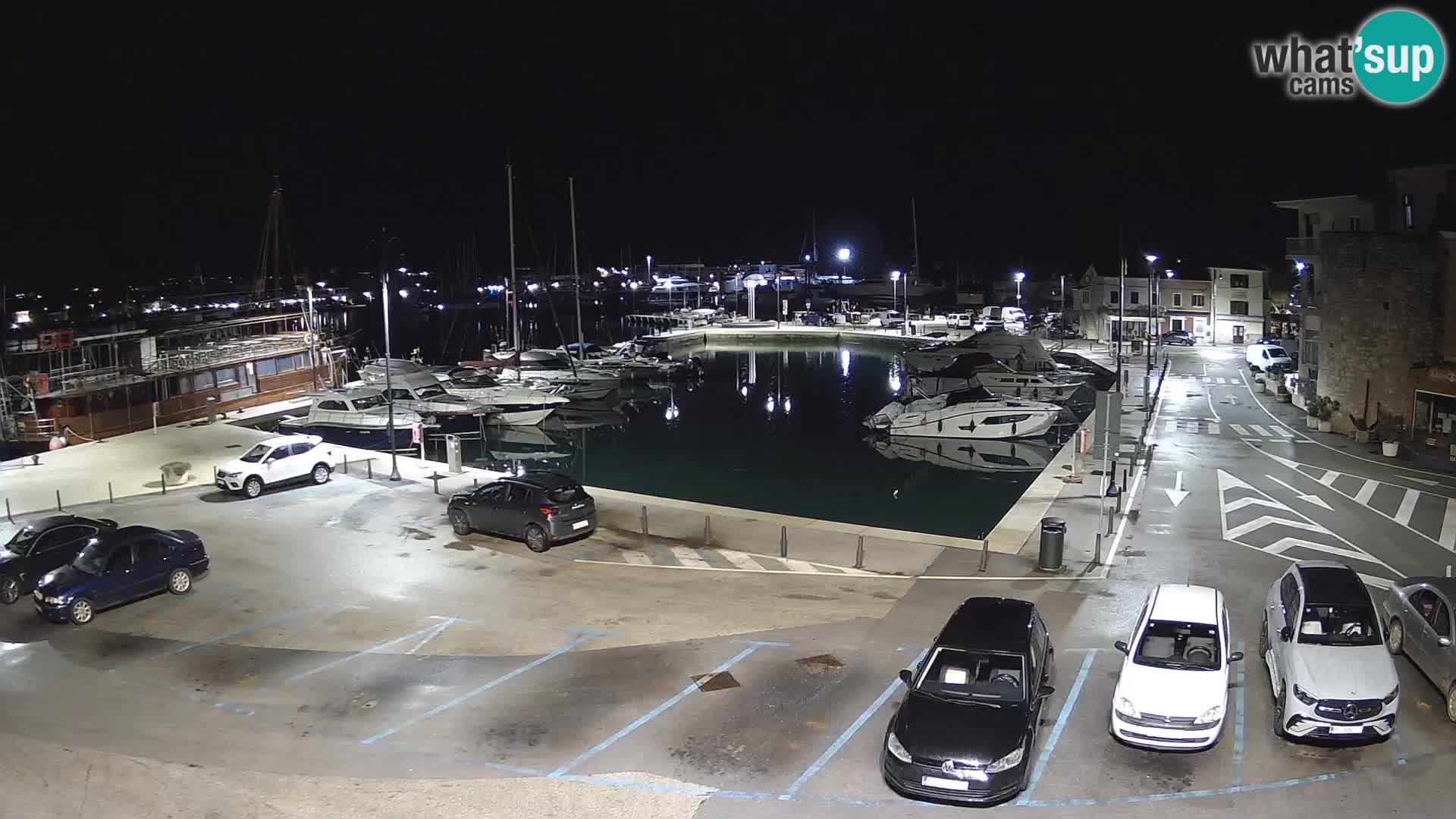 Novigrad | Porporela marina