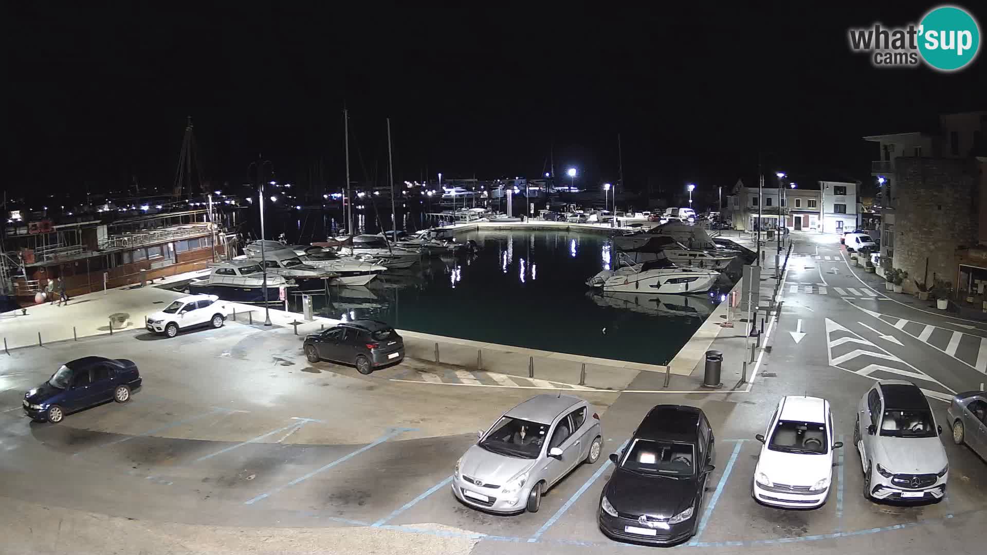 Novigrad | Porporela marina