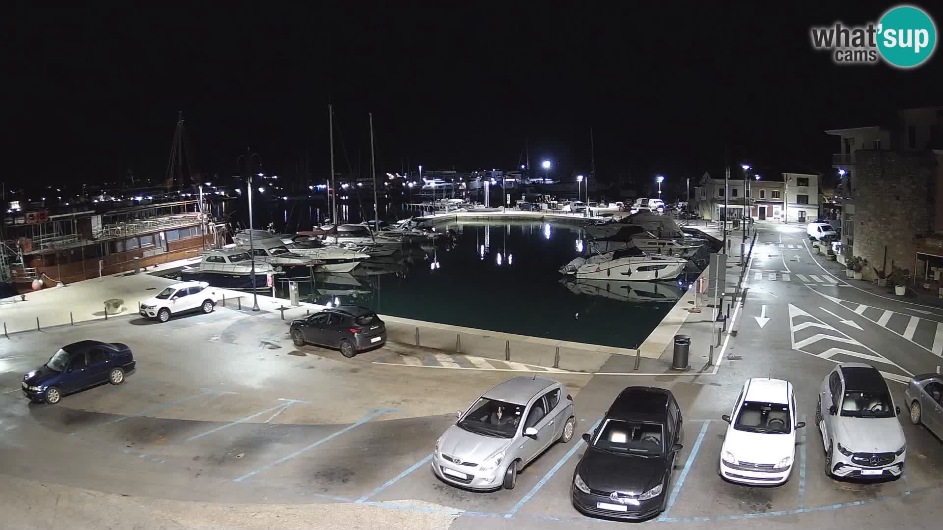 Novigrad | Porporela marina