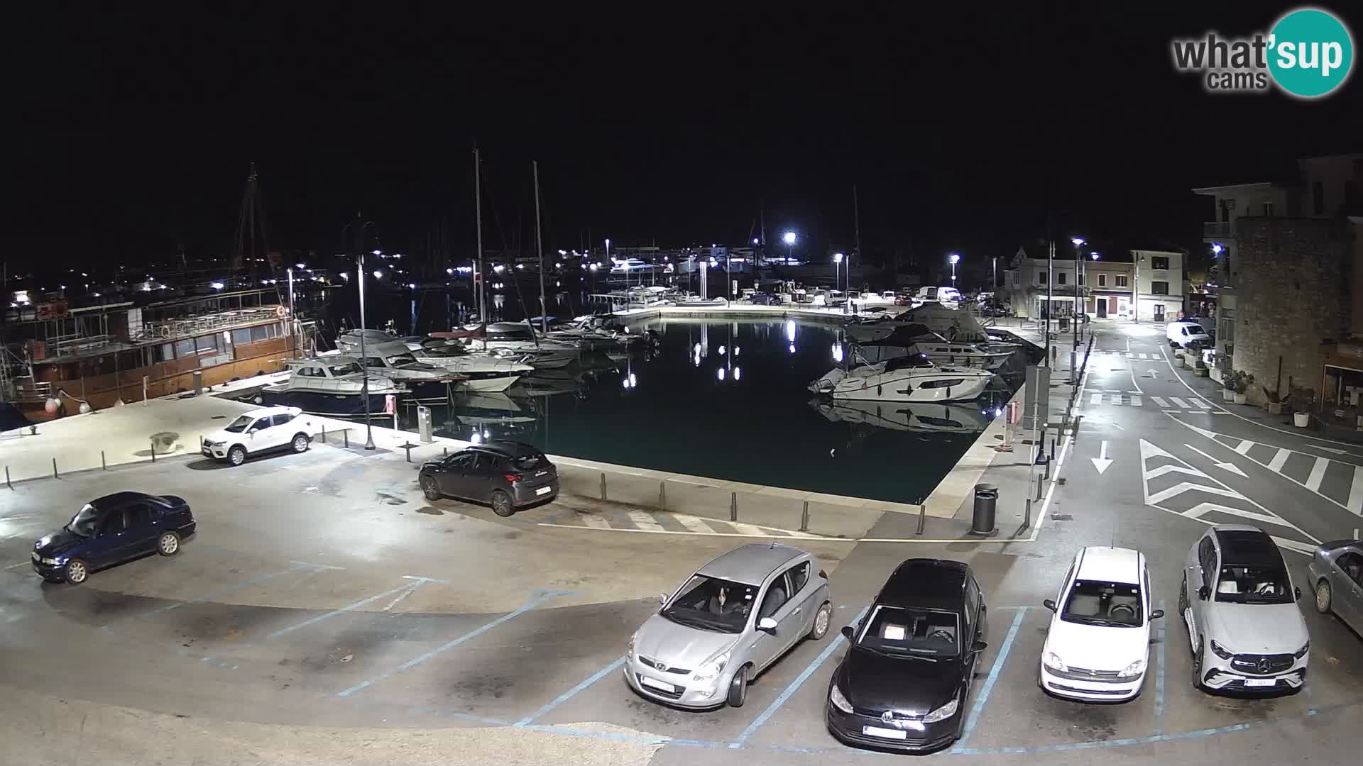 Novigrad | Porporela marina