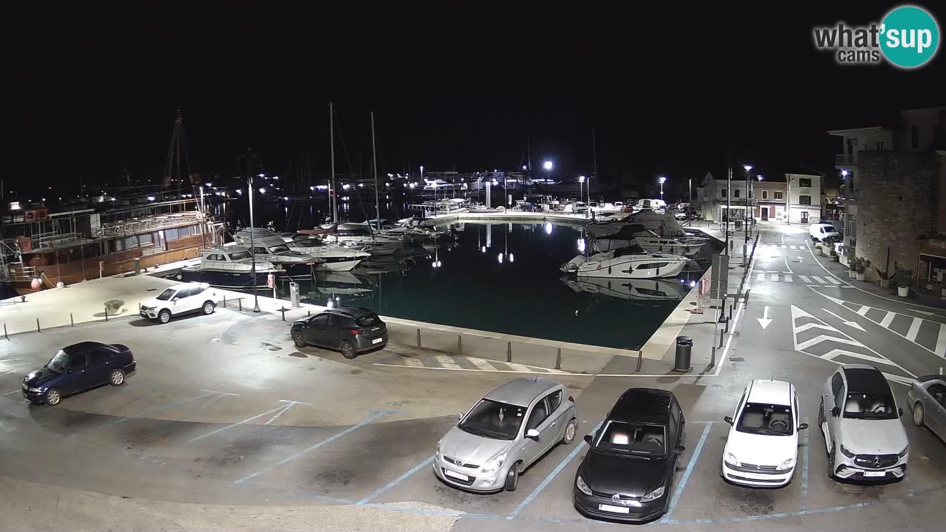 Novigrad | Porporela marina