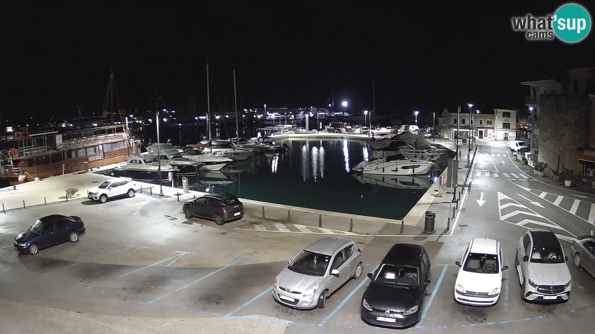 Novigrad | Porporela marina