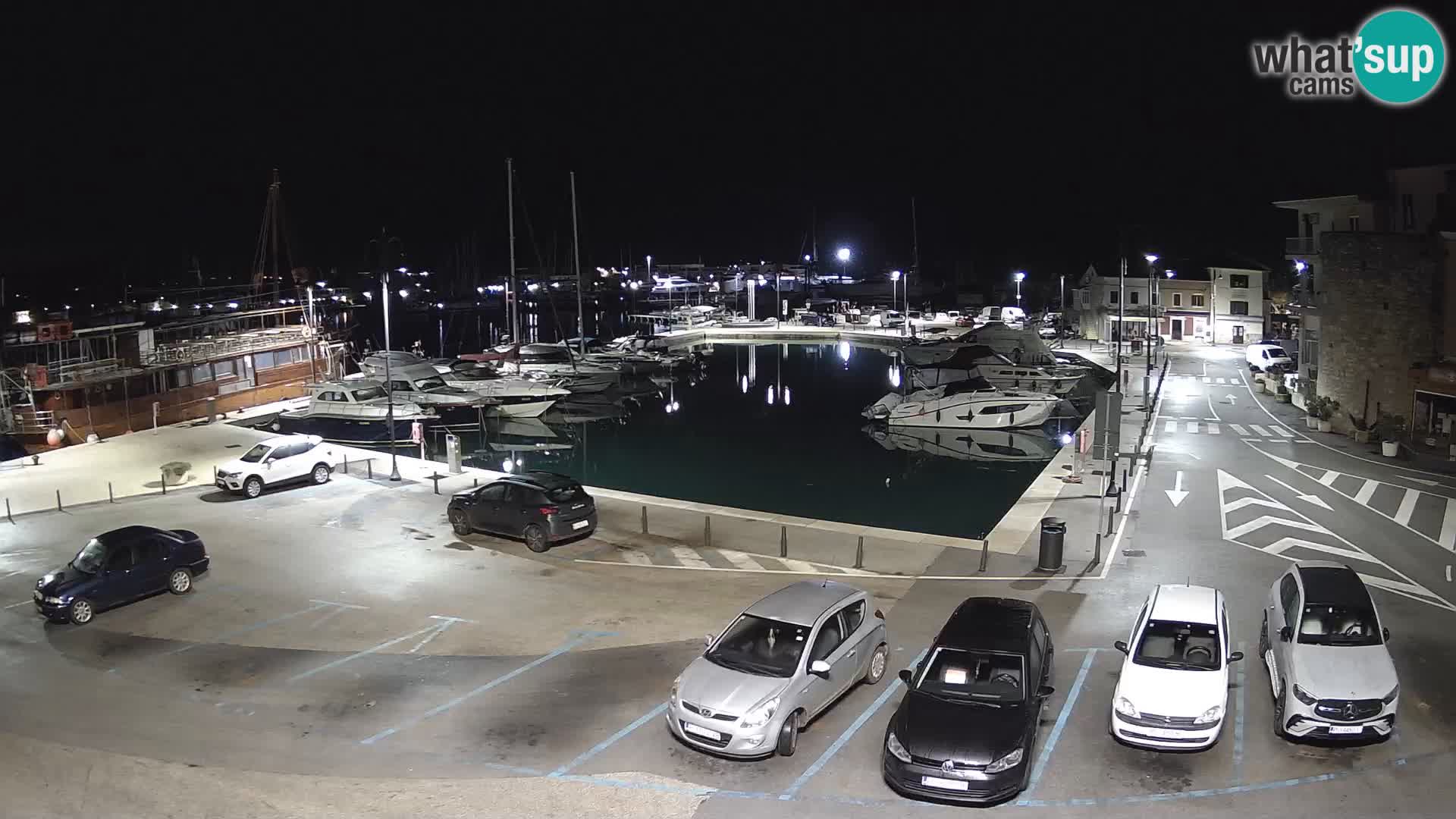 Novigrad | Porporela marina