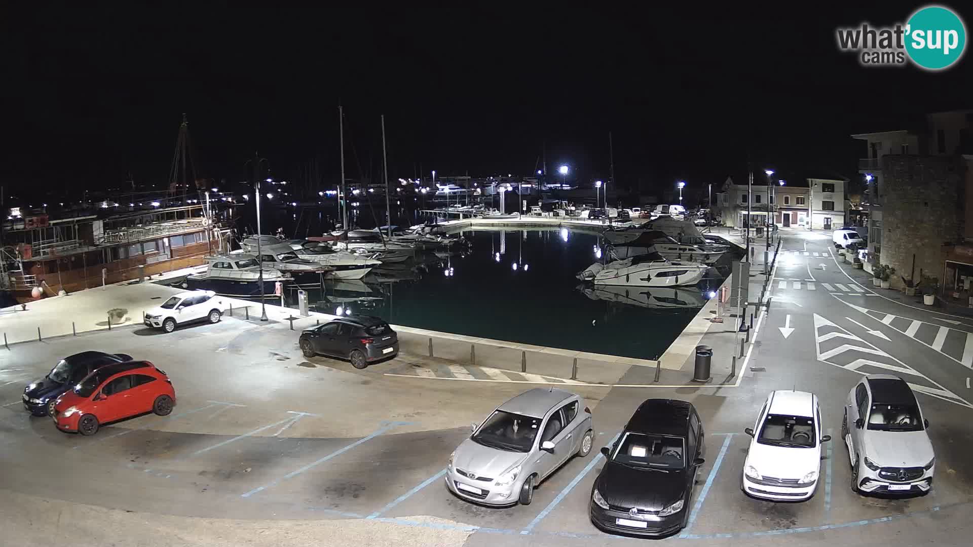 Novigrad | Porporela marina