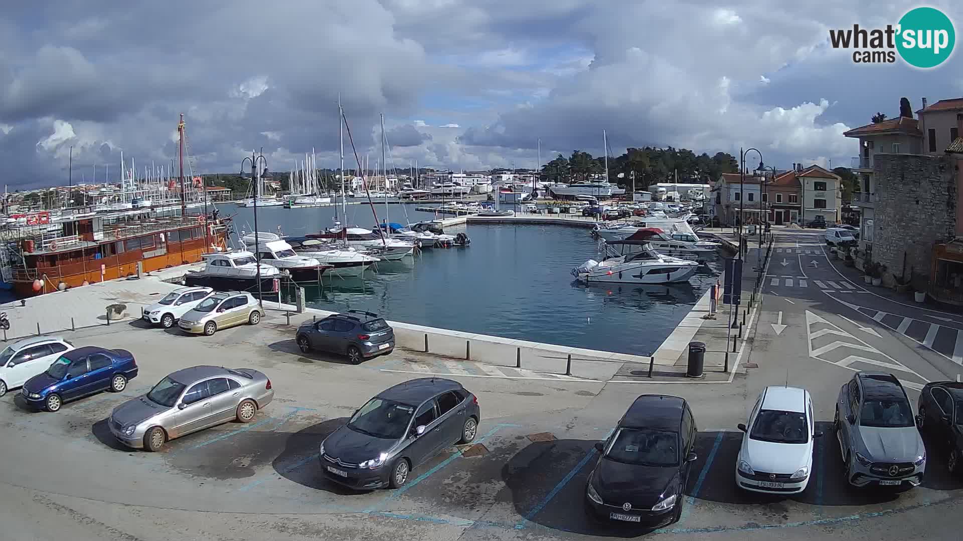 Novigrad | Porporela marina